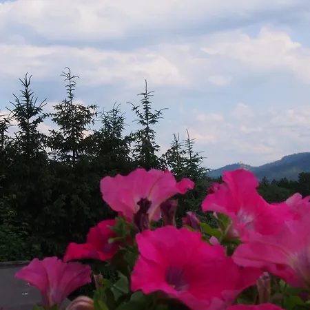 Villa Akant - Apartamenty W Karkonoszach Homestay *