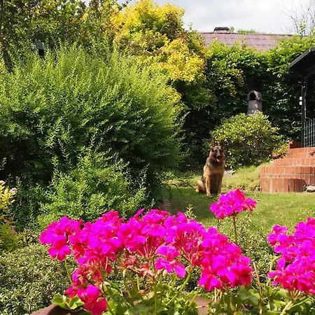 Accommodatie bij particulieren Villa Akant - Apartamenty W Karkonoszach