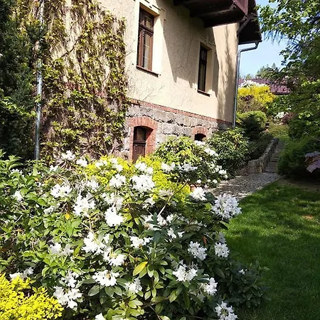 Akant Kwatera prywatna *